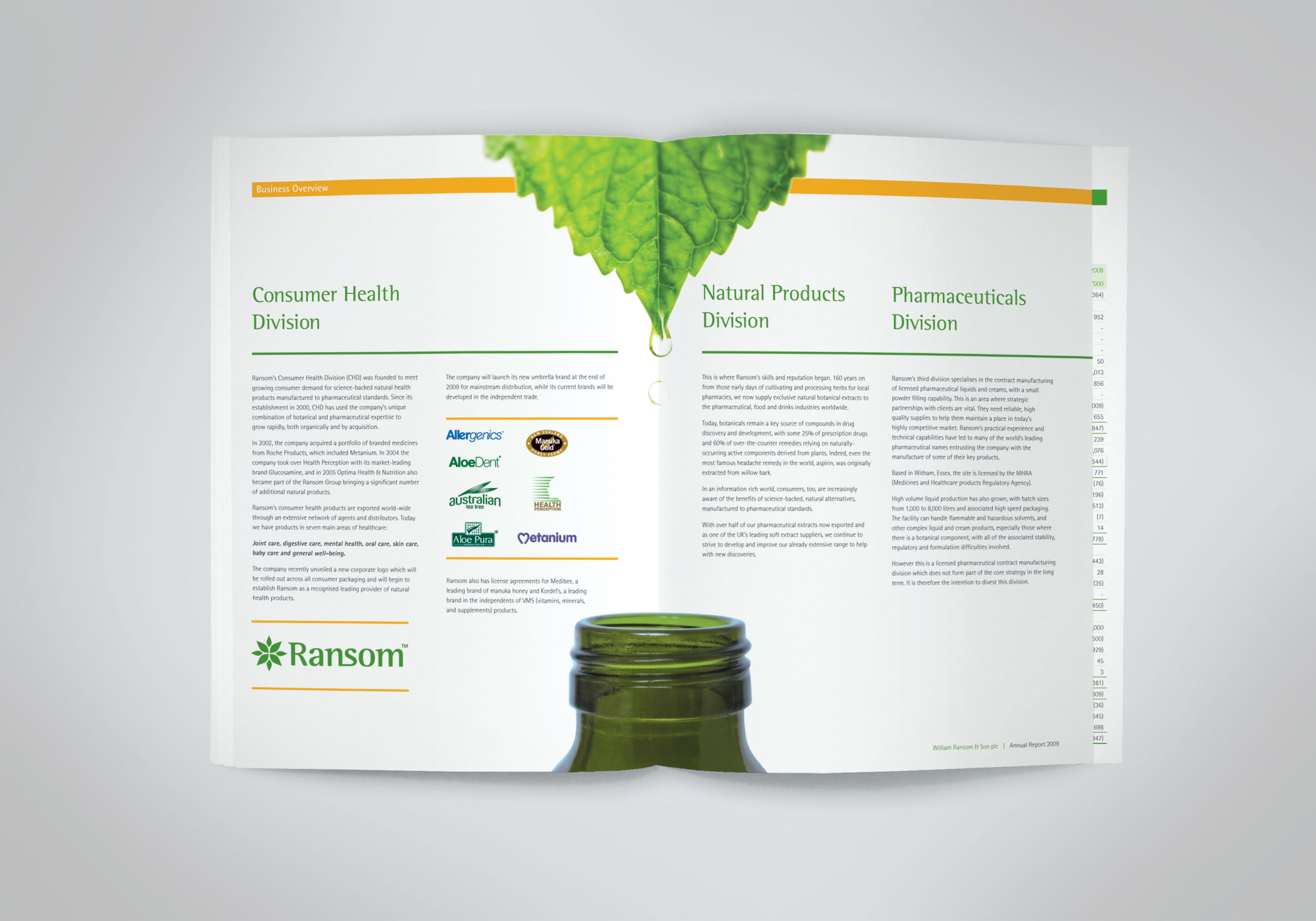 brand identity design creative annual report design agencies ransom company report design