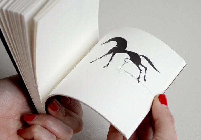 Flip book design brings Kallos horse to life